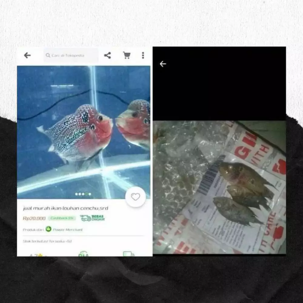 barang bekas malah di jual online © 2021 instagram.com