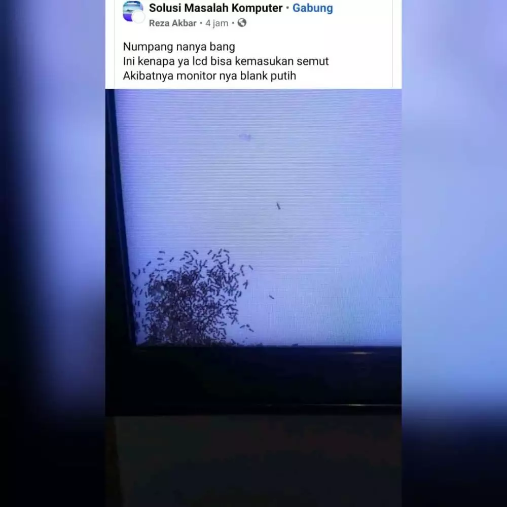 pertanyaan orang lagi gagal paham di Facebook © 2021 instagram.com pertanyaan orang lagi gagal paham di Facebook © 2021 instagram.com