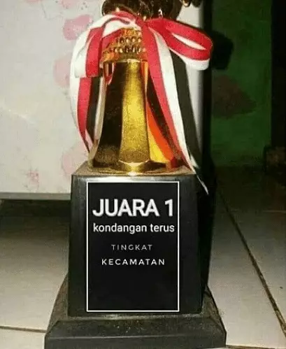 piala kejuaraan penampakannya aneh-aneh © 2021 berbagai sumber