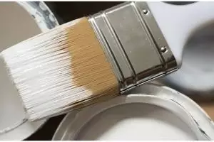 Beli cat, wanita ini kaget temukan benda tak terduga