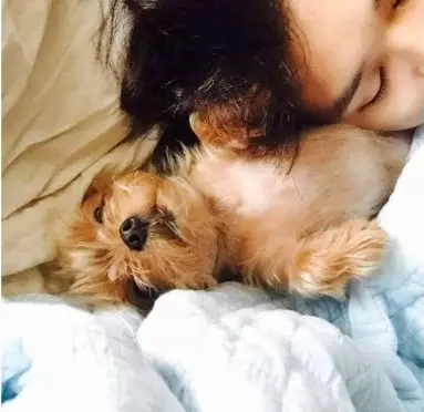 Potret lawas Choi Woo-shik © Istimewa