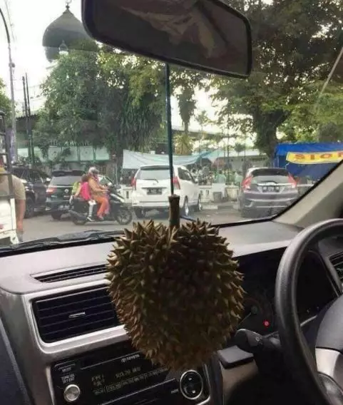 pasang pengharum bikin ngakak © 2021 berbagai sumber pasang pengharum bikin ngakak © 2021 berbagai sumber