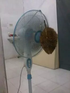 pasang pengharum bikin ngakak © 2021 berbagai sumber pasang pengharum bikin ngakak © 2021 berbagai sumber