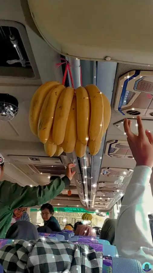 pasang pengharum bikin ngakak © 2021 berbagai sumber pasang pengharum bikin ngakak © 2021 berbagai sumber