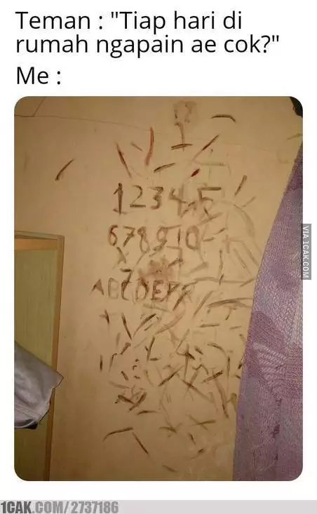 aksi nyeleneh basmi nyamuk © 2021 berbagai sumber aksi nyeleneh basmi nyamuk © 2021 berbagai sumber