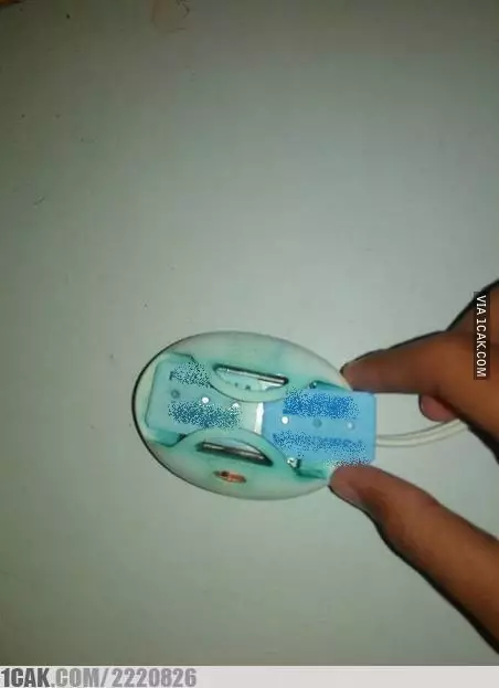 aksi nyeleneh basmi nyamuk © 2021 berbagai sumber aksi nyeleneh basmi nyamuk © 2021 berbagai sumber