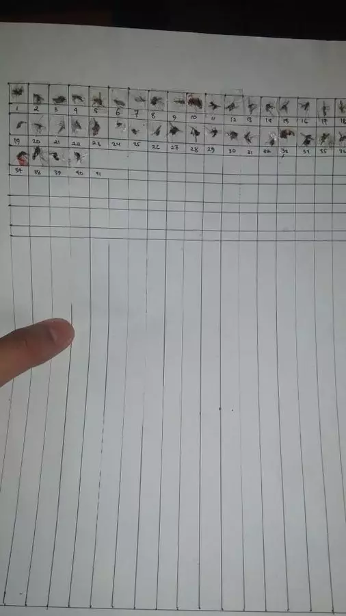 aksi nyeleneh basmi nyamuk © 2021 berbagai sumber aksi nyeleneh basmi nyamuk © 2021 berbagai sumber