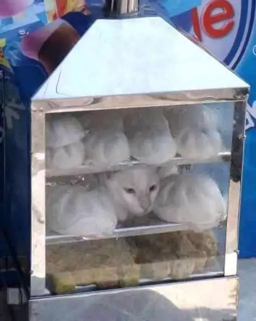 penampakan isi gerobak malah lucu © 2021 instagram.com penampakan isi gerobak malah lucu © 2021 instagram.com