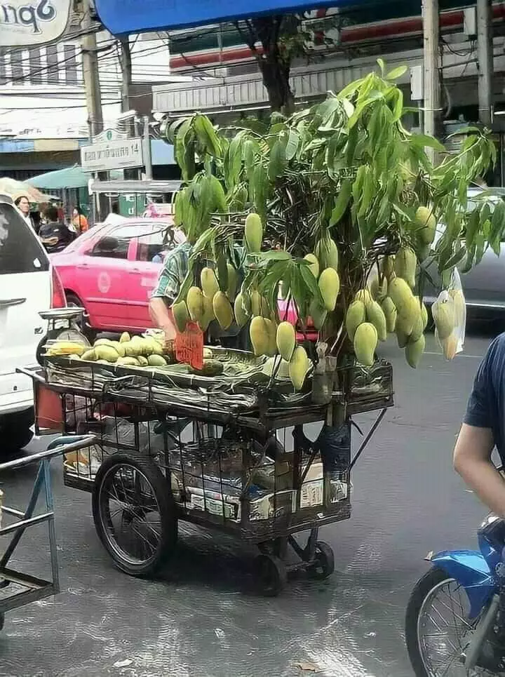 penampakan isi gerobak malah lucu © 2021 instagram.com penampakan isi gerobak malah lucu © 2021 instagram.com