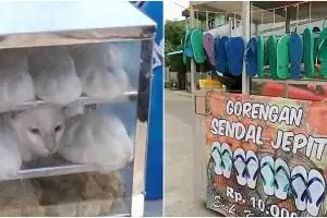 11 Penampakan lucu isi gerobak ini bikin kamu lihat dua kali