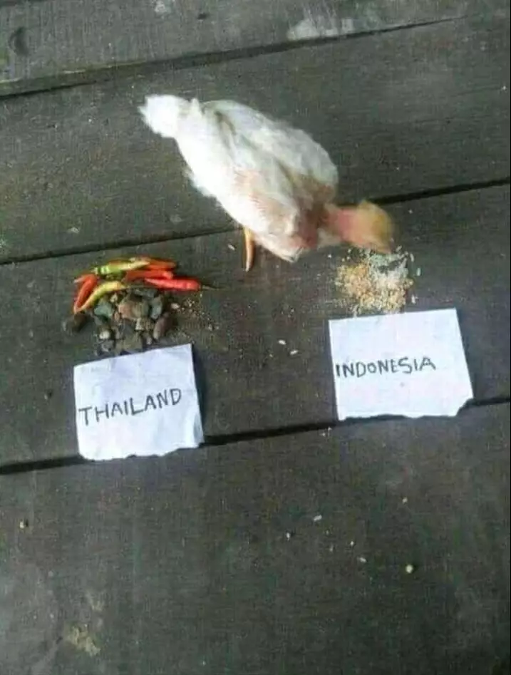 prediksi final AFF lucu © 2021 berbagai sumber