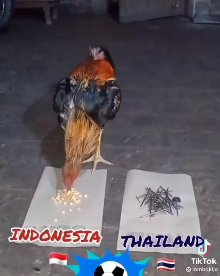 prediksi final AFF lucu © 2021 berbagai sumber