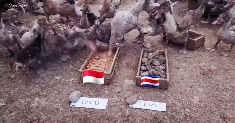 prediksi final AFF lucu © 2021 berbagai sumber