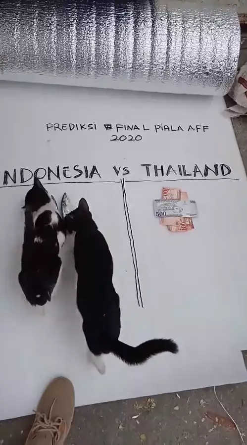 prediksi final AFF lucu © 2021 berbagai sumber