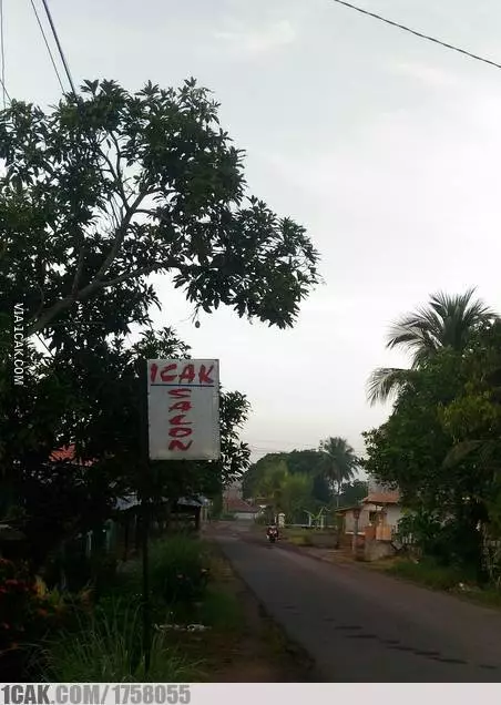 cara lucu promosi salon malah nyeleneh © 2021 1cak.com cara lucu promosi salon malah nyeleneh © 2021 1cak.com