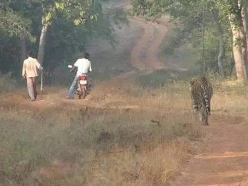 kendaraan malah salah jalur lucu © 2021 instagram.com kendaraan malah salah jalur lucu © 2021 instagram.com