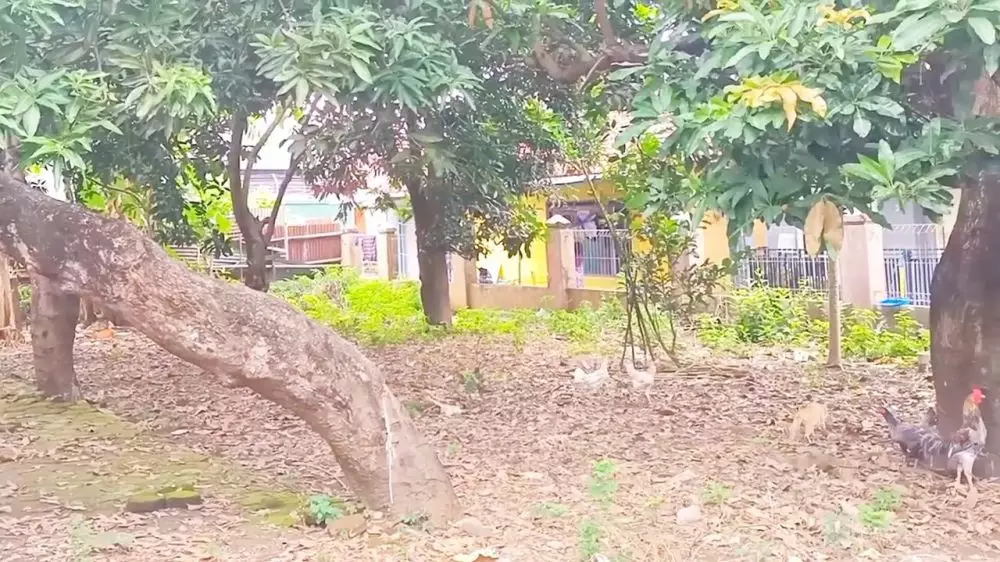 potret rumah Abiem Ngesti © YouTube potret rumah Abiem Ngesti © YouTube