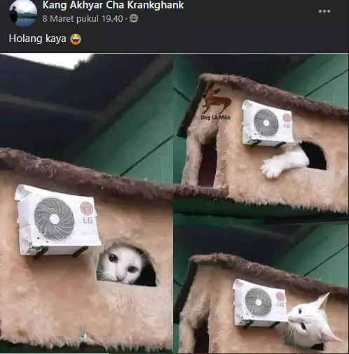 status pemilik kucing © 2021 Facebook status pemilik kucing © 2021 Facebook