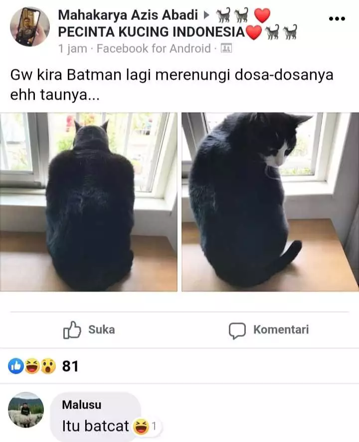 status pemilik kucing © 2021 Facebook status pemilik kucing © 2021 Facebook