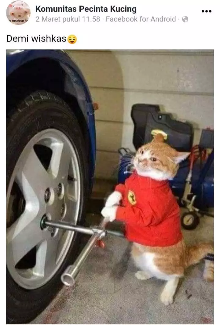 status pemilik kucing © 2021 Facebook status pemilik kucing © 2021 Facebook