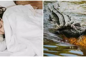 11 Arti mimpi buaya menurut psikologi, gambarkan perasaan