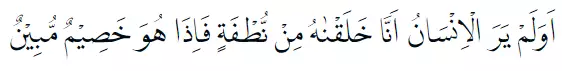 Bacaan surat Yasin Arab © 2021 brilio.net
