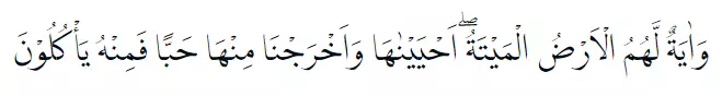 Bacaan surat Yasin Arab © 2021 brilio.net