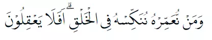 Bacaan surat Yasin Arab © 2021 brilio.net