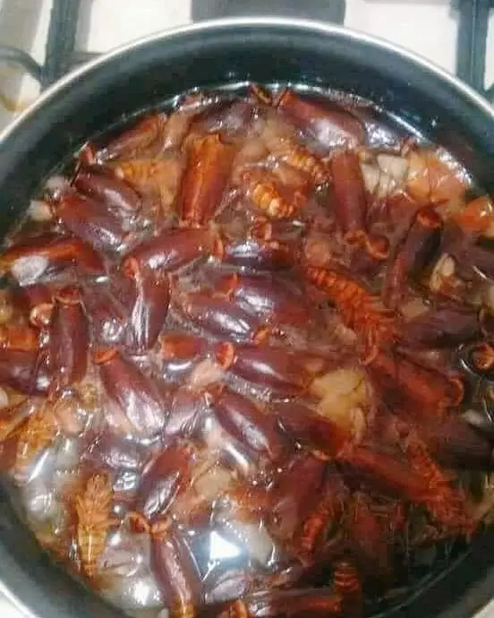 orang asal masak bikin heran banget © 2022 instagram.com