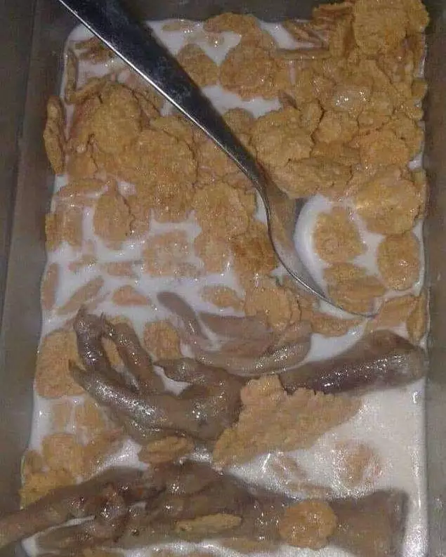 orang asal masak bikin heran banget © 2022 instagram.com