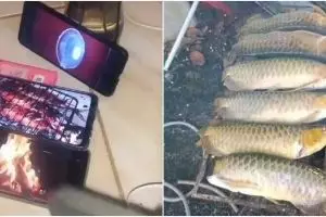 11 Momen lucu orang asal masak ini bikin yang lihat tepuk jidat