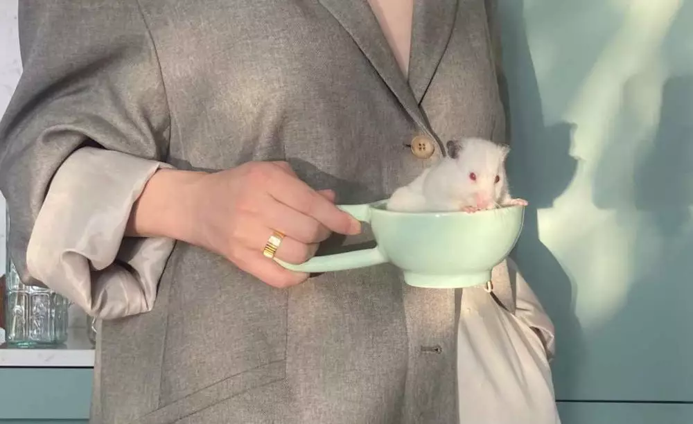 Arti mimpi tikus © 2022 brilio.net