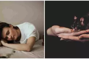 11 Arti mimpi tikus menurut primbon Jawa, beri beragam pertanda