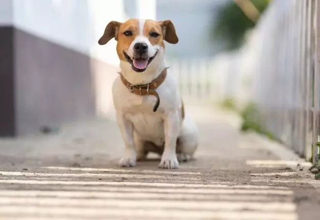 Arti mimpi berkelahi © berbagai sumber