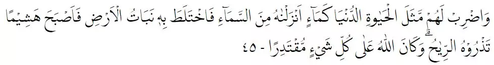 Bacaan Surat Al-Kahfi © 2022 brilio.net Bacaan Surat Al-Kahfi © 2022 brilio.net
