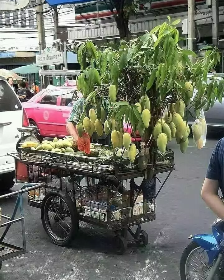 pedagang jualan canggih abis © berbagai sumber pedagang jualan canggih abis © berbagai sumber