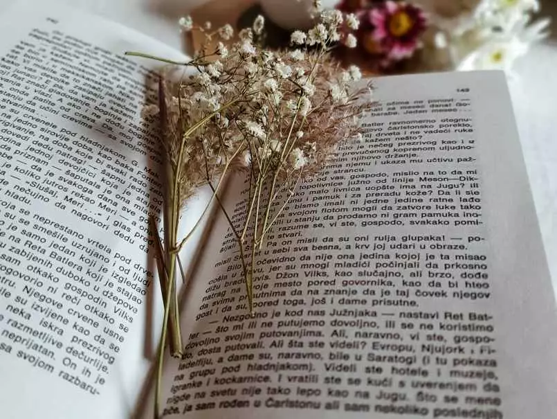 Contoh teks ulasan novel © 2022 brilio.net