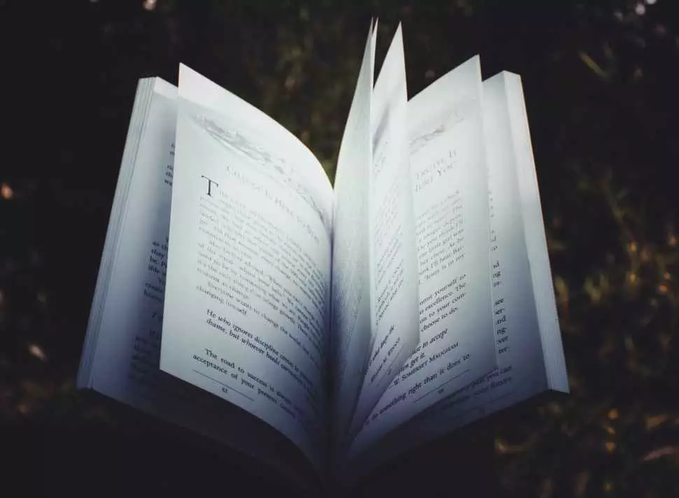 Contoh teks ulasan novel © 2022 brilio.net