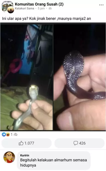 status mau curhat jadi lucu sendiri © Instagram