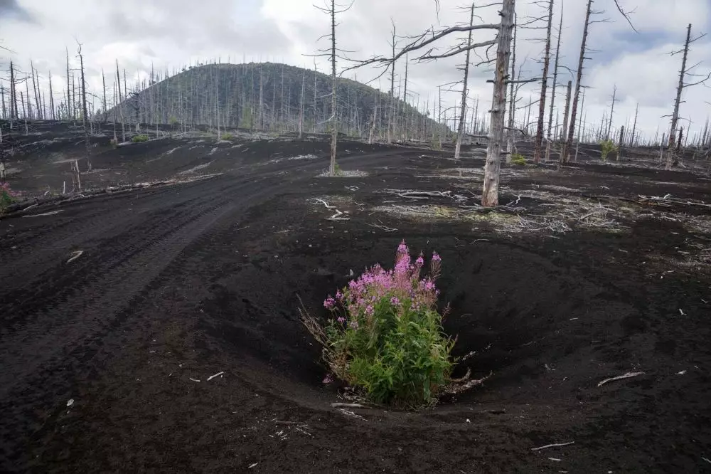 Arti mimpi gunung meletus © 2022 brilio.net