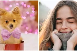 25 Arti mimpi digigit anjing menurut islam dan primbon Jawa, penuh makna mendalam