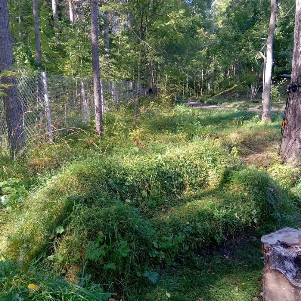 11 Desain sofa nyeleneh, ada yang mirip banteng © 2022 brilio.net 11 Desain sofa nyeleneh, ada yang mirip banteng © 2022 brilio.net