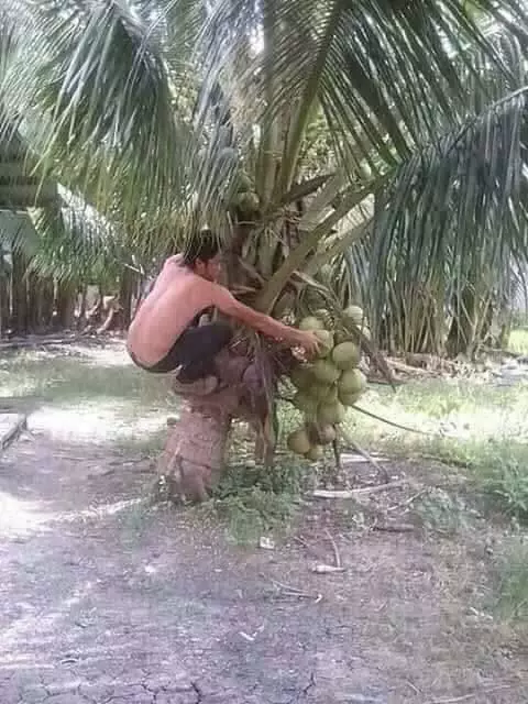 orang kurang kerjaan bikin geleng kepala © berbagai sumber