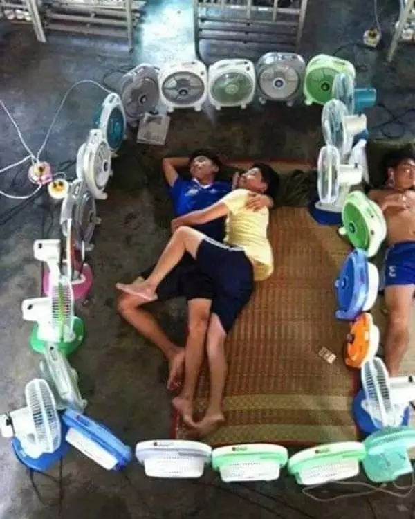 yang penting rebahan dan tidur © berbagai sumber yang penting rebahan dan tidur © berbagai sumber