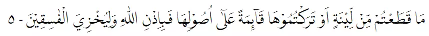 surat Al-Hasyr lengkap © 2022 brilio.net