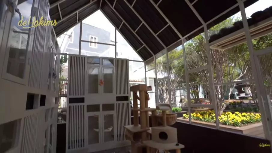 penampakan mini zoo di rumah juragan99 © YouTube penampakan mini zoo di rumah juragan99 © YouTube