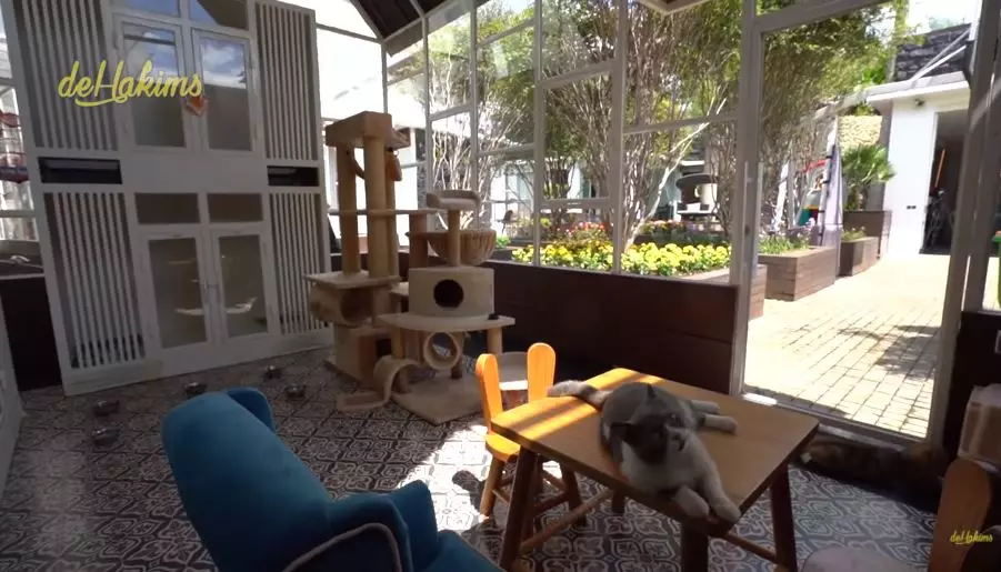 penampakan mini zoo di rumah juragan99 © YouTube penampakan mini zoo di rumah juragan99 © YouTube