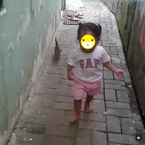 11 Momen orang dikejar hewan, ambil anak ayamnya diuber induknya berbagai sumber 11 Momen orang dikejar hewan, ambil anak ayamnya diuber induknya berbagai sumber