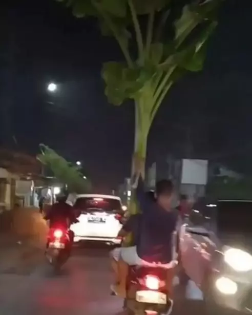 cara buat amankan pohon pisang lucu © 1cak.com