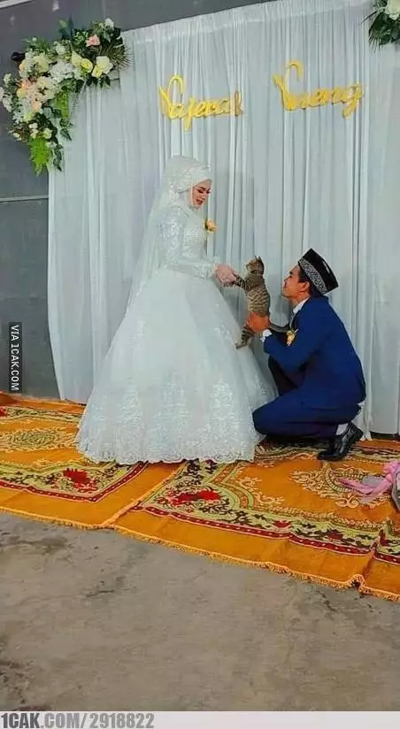 benda dibawa pas nikahan nyeleneh banget © 1cak.com